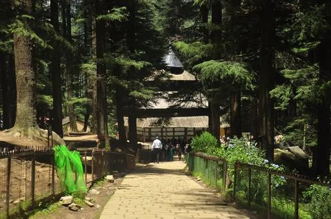 Beautiful view of Hidimba Devi Temple in between cedar trees  Stock Photos