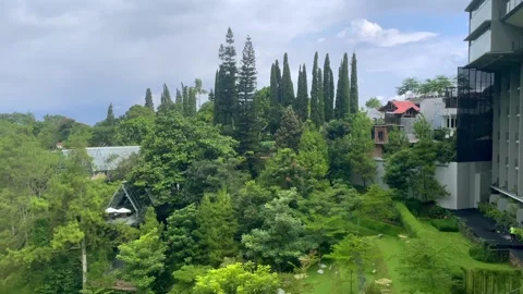 Beautiful view from a high angle showing lush green trees . Stock Footage 320477896