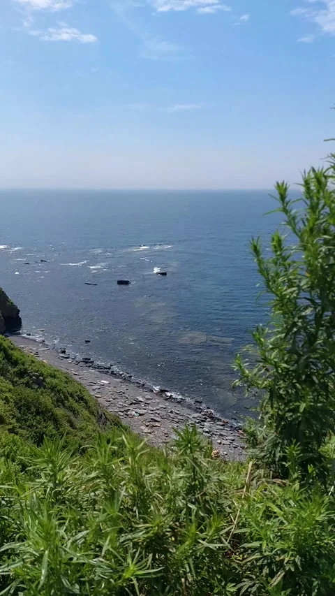 Beautiful view from a high cliff with wild plants to the seashore 動画素材 264552171