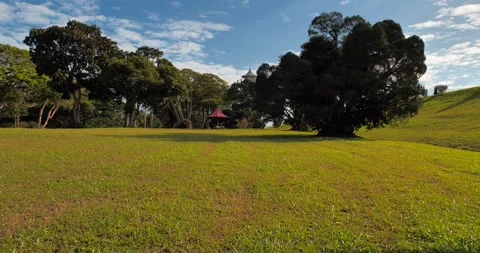 Beautiful View of Hill Side Trees Stock Footage 158158356