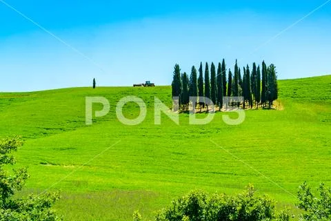 Beautiful view of hilly Tuscany in sunny day Stock Photos