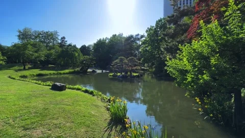 The beautiful view in Hokkaido Stock Footage 311019061
