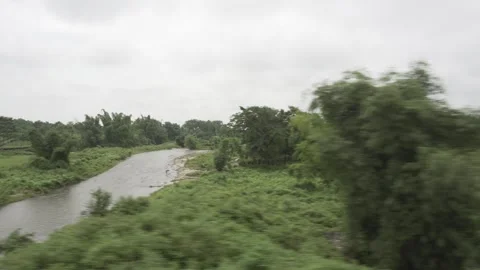 Beautiful view from inside the train. Video stock 249838162