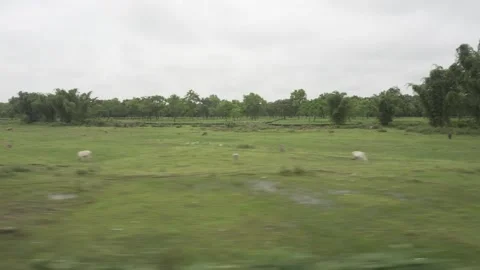 Beautiful view from inside the train. Video stock 249838231