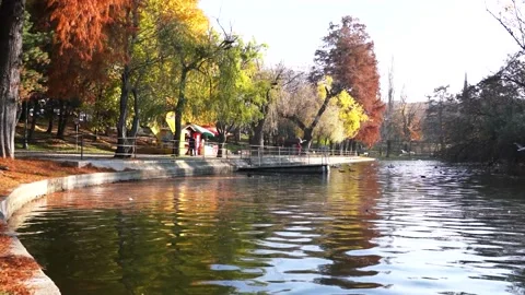 Beautiful view in the IOR park, Bucharest Stock Footage 143917992