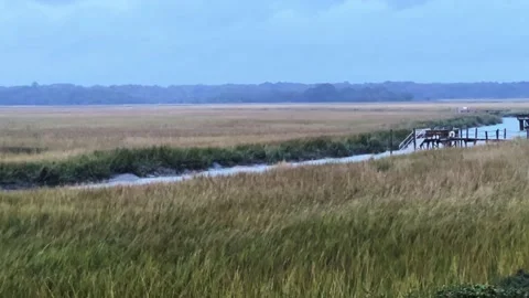 Beautiful view of an island salt marsh wetlands Stock Footage 231235853