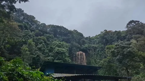 Beautiful view of jhari waterfall flowing gracefully through lush green jun.. Stock-Footage 346816585