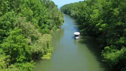 Beautiful view of Kamchiya river and tropical rainforest in summer day Stock Footage 176711169