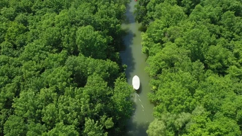 Beautiful view of Kamchiya river and tropical rainforest in summer day Stock Footage 179326066