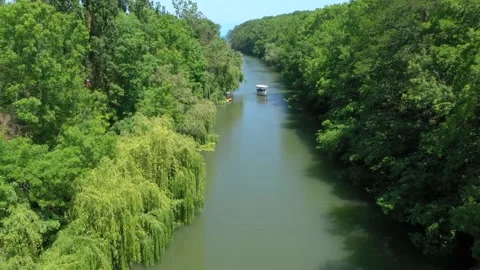 Beautiful view of Kamchiya river and tropical rainforest in summer day Stock Footage 197512935