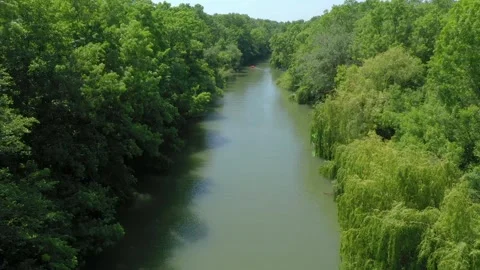 Beautiful view of Kamchiya river and tropical rainforest in summer day. Stock Footage 262535703