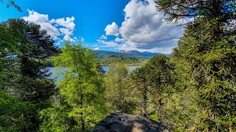 Beautiful view of the lake, between mountains and forests. Stock Photos