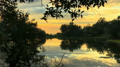 Beautiful view of the lake in the forest on the background of sunset Stock Footage 163313129