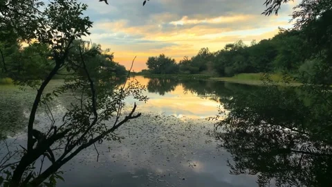 Beautiful view of the lake in the forest on the background of sunset Stock Footage 163313164