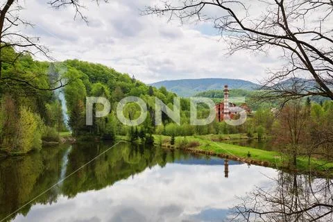 Beautiful view of lake in forest. Summer Stock Photos