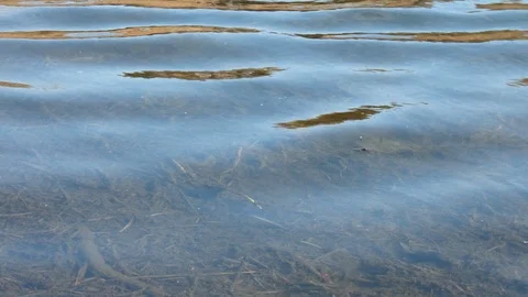 Beautiful view of the lake in spring Stock Footage 104898556