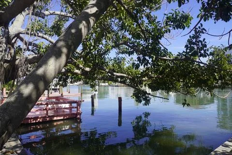 A beautiful view of a lake with tree on the side Foto stock