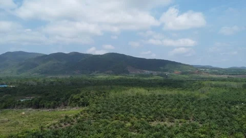 Beautiful view of the large mountains in South Kalimantan which are filled .. Stock Footage 287737541