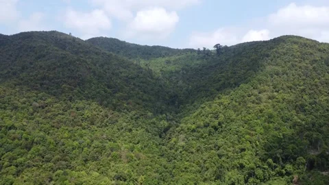 Beautiful view of the large mountains in South Kalimantan which are filled .. Stock Footage 287737637