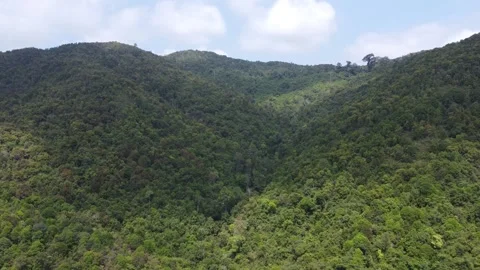 Beautiful view of the large mountains in South Kalimantan which are filled .. Stock Footage 287738689