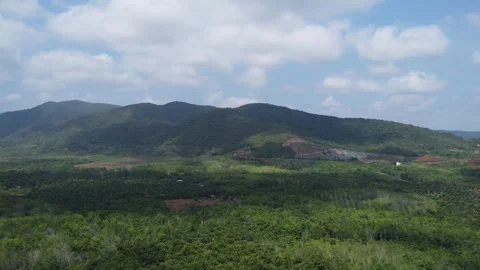 Beautiful view of the large mountains in South Kalimantan which are filled .. Stock Footage 287740866