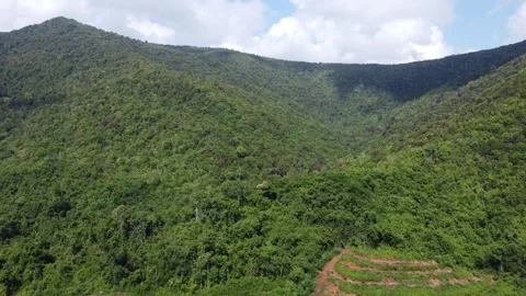 Beautiful view of the large mountains in South Kalimantan which are filled .. Stock Footage 288113592