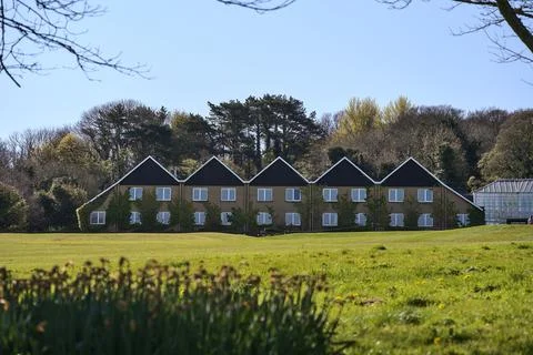 Beautiful view of long house with patterns in roof and windows seen among trees Foto stock