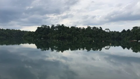 Beautiful view of the MacRitchie reservoir Stock Footage 129732730