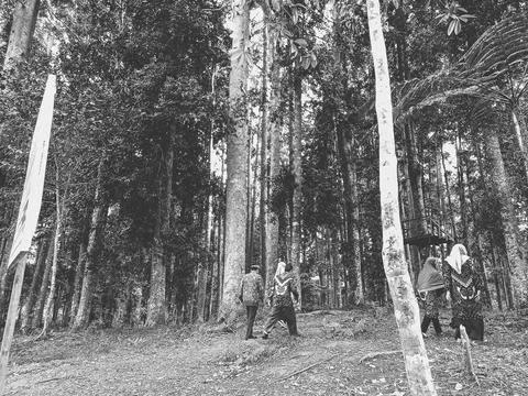Beautiful view at Madapi Forest Curup Stockfoto's