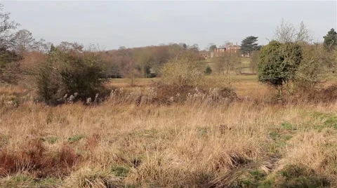 Beautiful View of Maple Hayes Stately Home - Historic  English Country House Stock-Footage 48987843