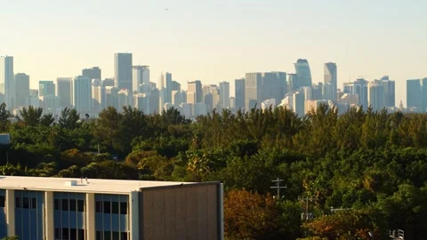 Beautiful view of Miami with the skyline in the background on a sunny day Stock Footage 235646975