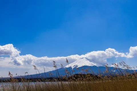 Beautiful View of Mount Fuji with cloud at kawaguchiko Japan Stock Photos