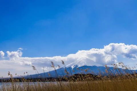 Beautiful View of Mount Fuji with cloud at kawaguchiko Japan Stock Photos