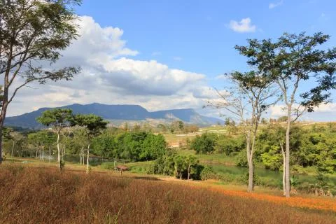 Beautiful view on the mountain. Stock Photos