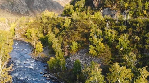 Beautiful view of the mountain river in the mountains and forests of Altai Stock Footage 119415622