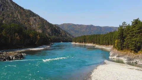 Beautiful view of the mountain river in the mountains and forests of Altai Stock Footage 119415998