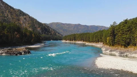 Beautiful view of the mountain river in the mountains and forests of Altai Stock Footage 119416337