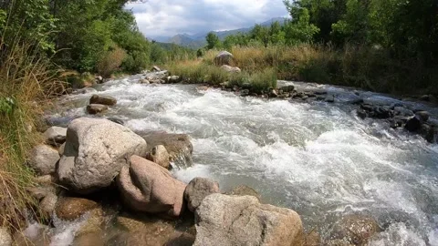 Beautiful view of mountain river - Slow motion 動画素材 137239841