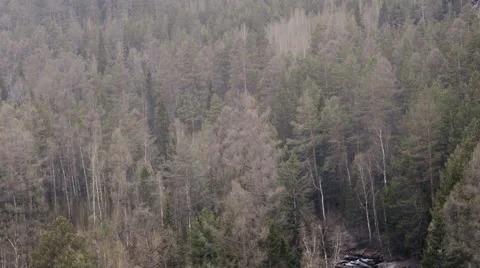 Beautiful view of mountain river in the spring, Altai Mountains, Russia Stock Footage 57473726