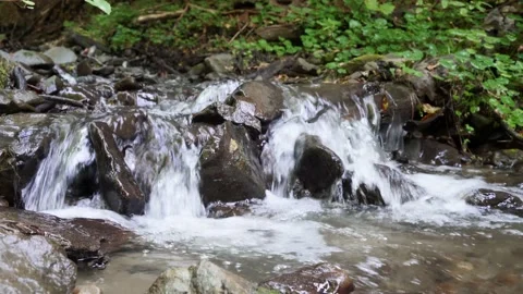 Beautiful view of a mountain stream boiling water of the Carpathians 4 k Stock Footage 138867226