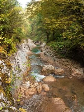 Beautiful view of a mountain stream. 写真素材