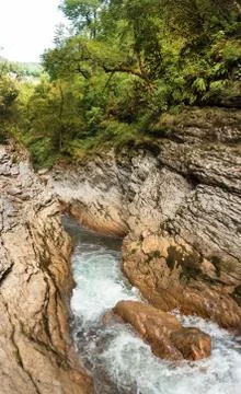 Beautiful view of a mountain stream. Stock Photos