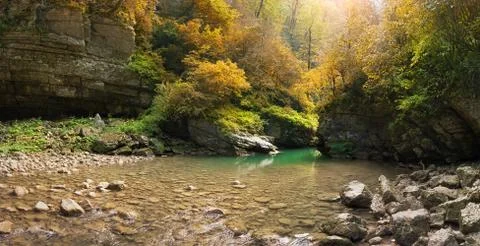 Beautiful view of a mountain stream. Stock Photos