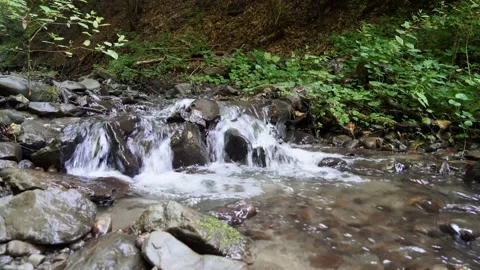 Beautiful view of a mountain stream in the summer Carpathians 4 k 動画素材 138866927