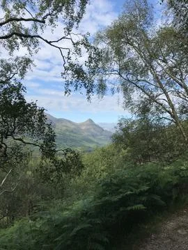 Beautiful view of a mountain through trees and shrubs Stock Photos