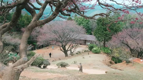 Beautiful view of mountains and trees. Estabilish shot of Arashiyama park, Kyoto Stock Footage 134316189