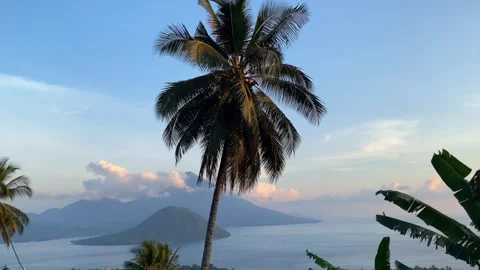 Beautiful view of mountains, beach and coconut palm trees Stock Footage 290239563