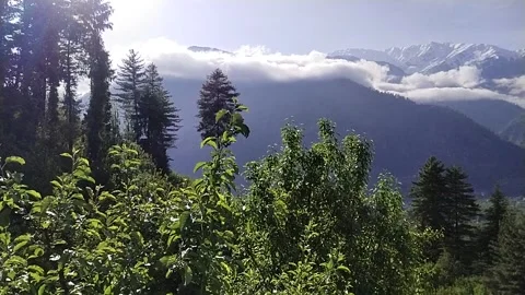 Beautiful view mountains clouds forest Stock Footage 240941023