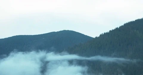 The beautiful view of the mountains covered with forests during the thick fog Stock Footage 82796058