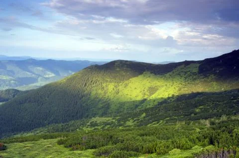 Beautiful view from mountains with dwarf pine in the foreground Foto stock